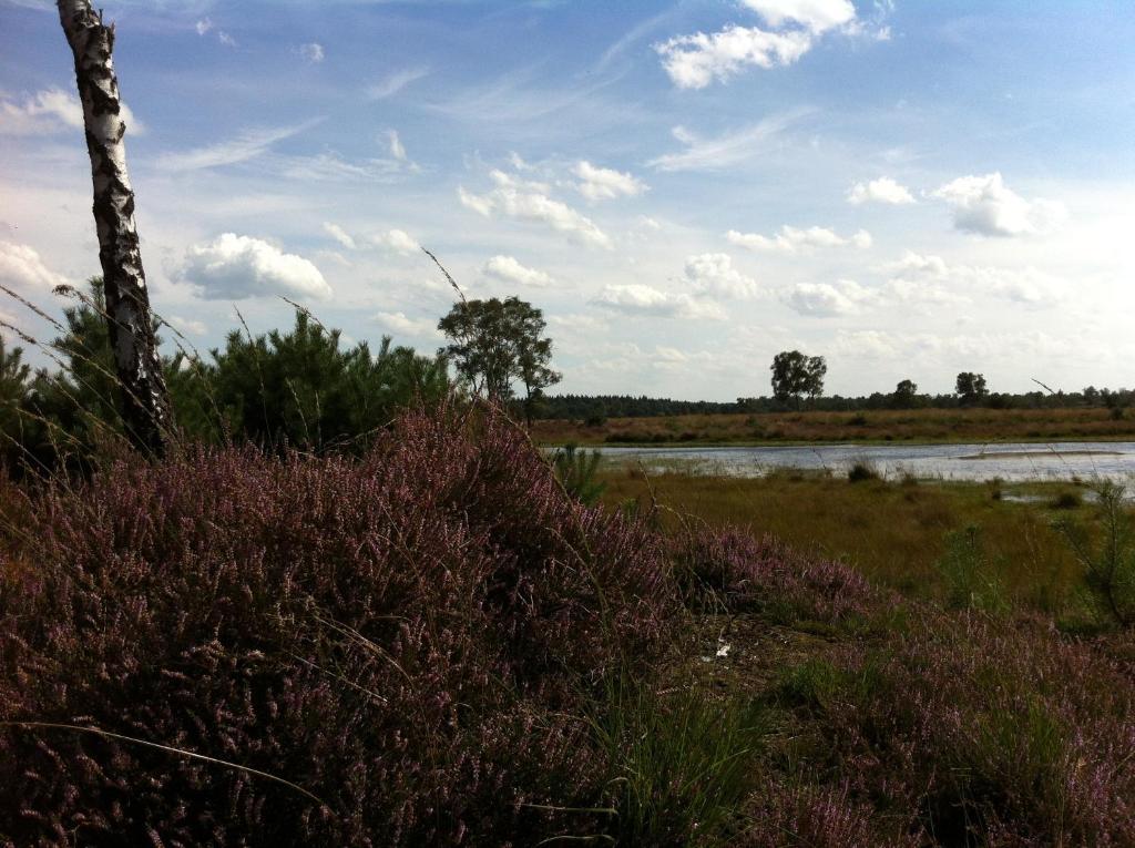 B&B Leendershoeve In Heusden Asten Exterior foto